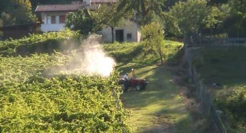 Pesticidi e salute dei bimbi, gruppo di mamme scende in campo