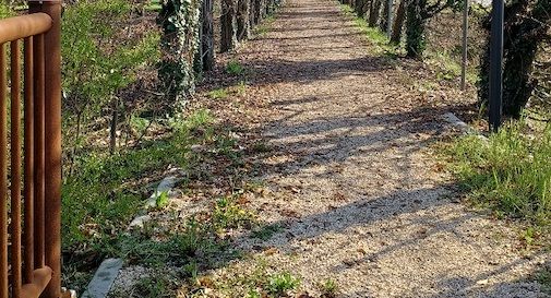 pista ciclabile