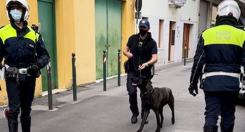 Polizia locale