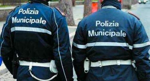 Asolo Polizia Locale alla Fornace Oggi Treviso News Il