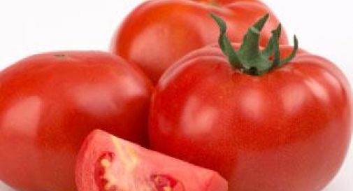 Creato il super-pomodoro contro diabete, Alzheimer e cancro