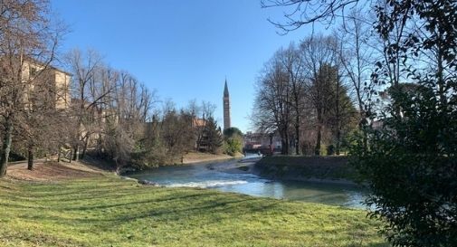 ricerca fauna lungo fiume Soligo