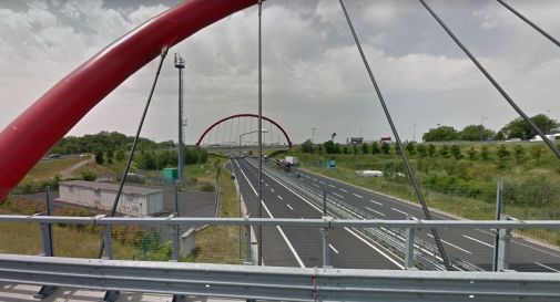 Trasportava illegalmente cinque cuccioli di cane