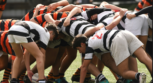 Rugbista placcò arbitra, condannato ad un anno e due mesi 