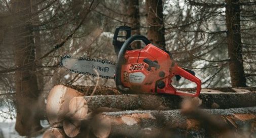 Incidente sul lavoro, boscaiolo perde la vita: aveva 24 anni