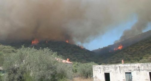 Incendi Sardegna, arrivati canadair Francia e Grecia