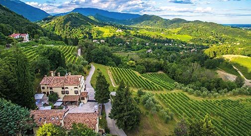 Un tour per vivere il vino a 360°