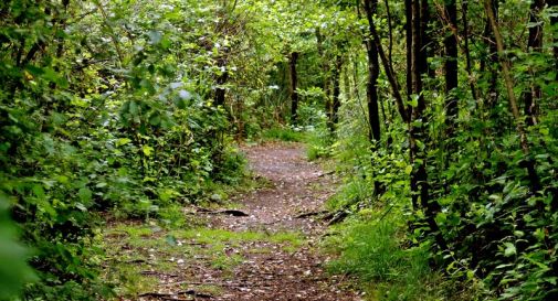 “Passeggiata Ecologica” alle sorgenti del Sile