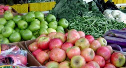 Spiedo Gigante, niente mercati a Pieve di Soligo