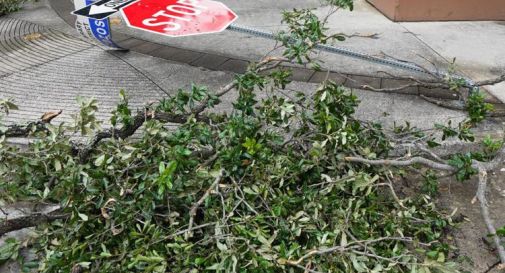 Tornado in Texas, almeno 5 morti e oltre 60 feriti