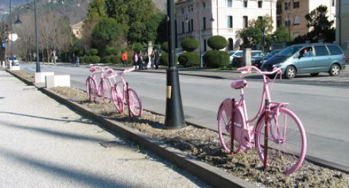 bicicletta rosa usella giro d'italia