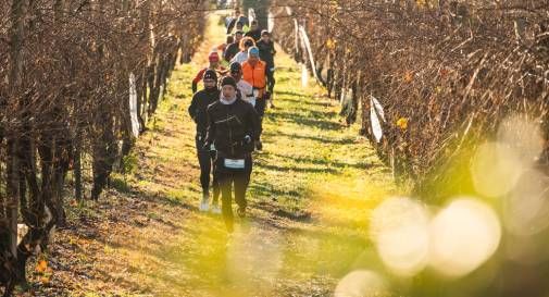 Conegliano Valdobbiadene Prosecco Ultra Trail