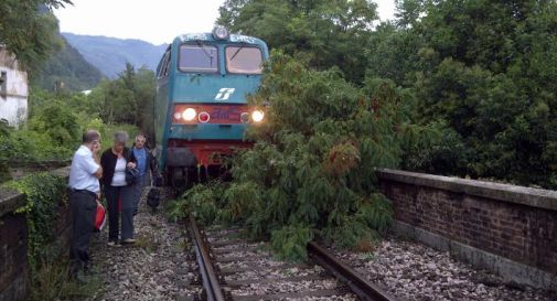 Albero sui binari a Fener