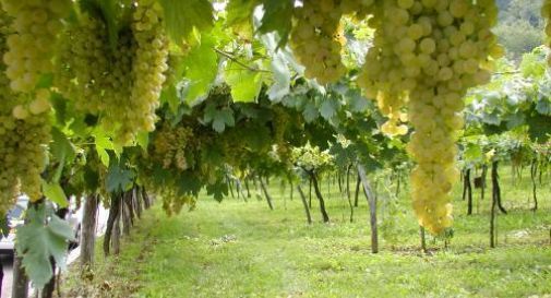 convegno venerdì a Ponte di Piave