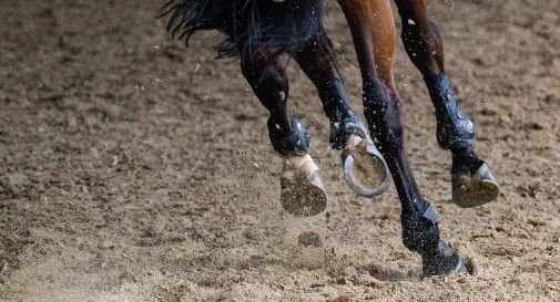 Mareno, incendio al capanno: ustionato un cavallo