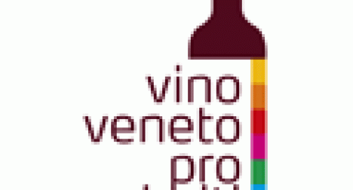 VINI VENETI PER HAITI