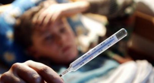 Influenza, dall'australiana all’aviaria: cosa c'è da sapere su virus oggi in circolazione.