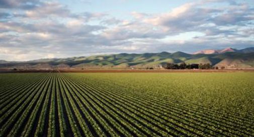 Fertilizzanti e idrogeno, la svolta sostenibile del settore agricolo.