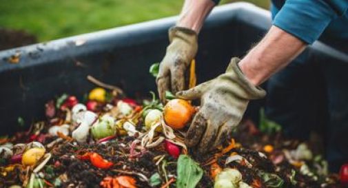 Rifiuti, Cic e Biorepack: Osservatorio Bioriciclo per migliorare la raccolta dell'organico.