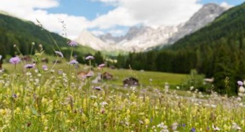 Enogastronomia, la Strada del vino e dei sapori del Trentino forma ambasciatori di eccellenze.