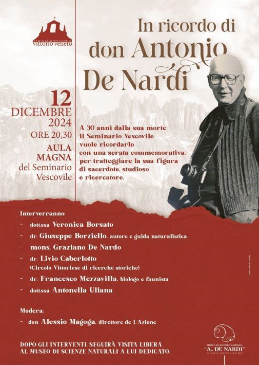 Don Antonio De Nardi