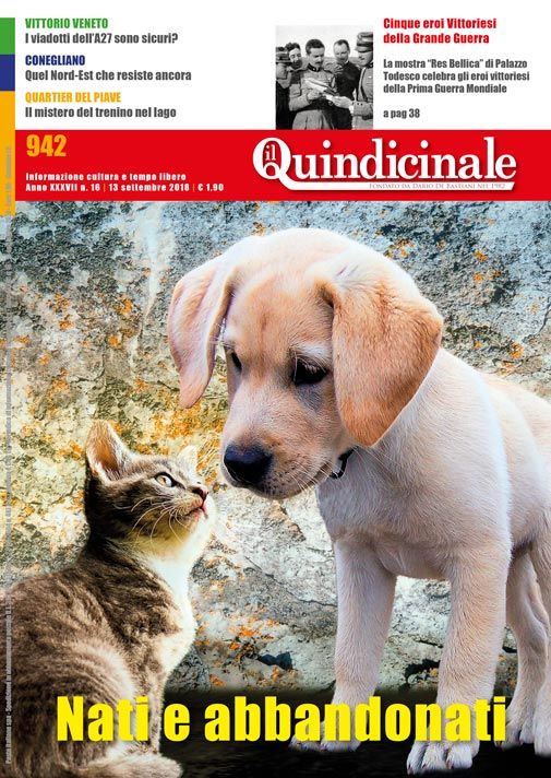 copertina del giornale in edicola